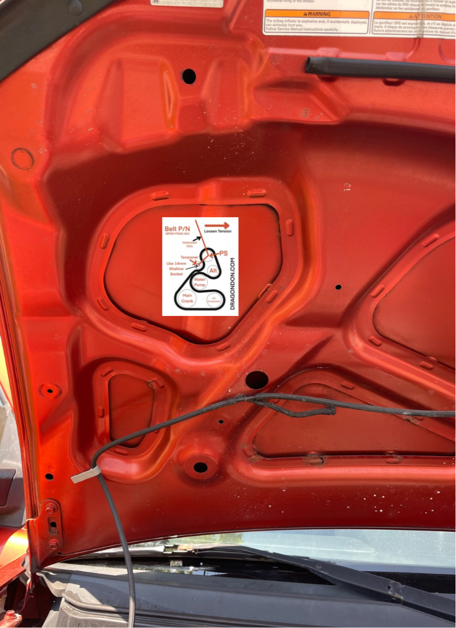 Serpentine Belt Routing Decal