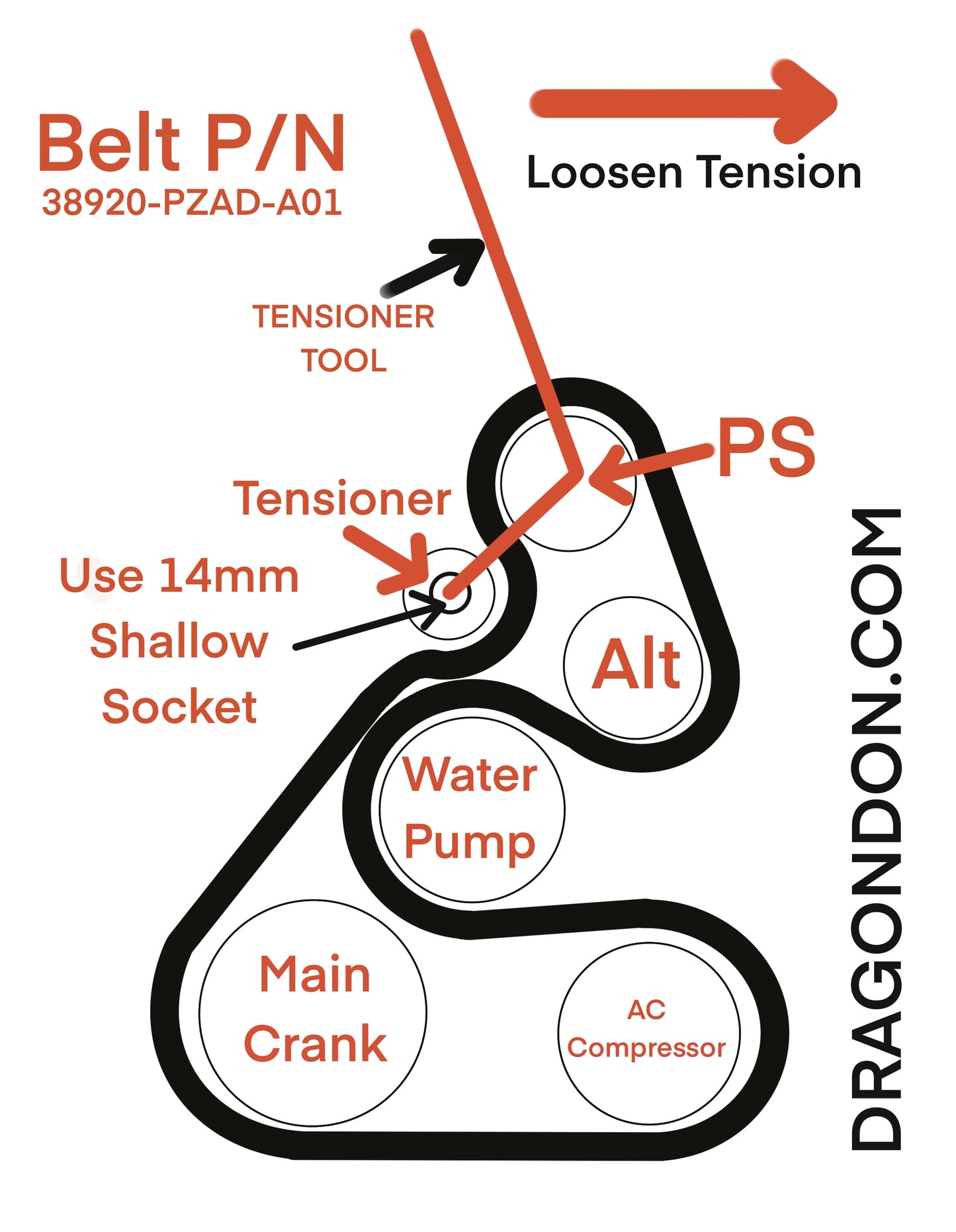 Serpentine Belt Routing Decal