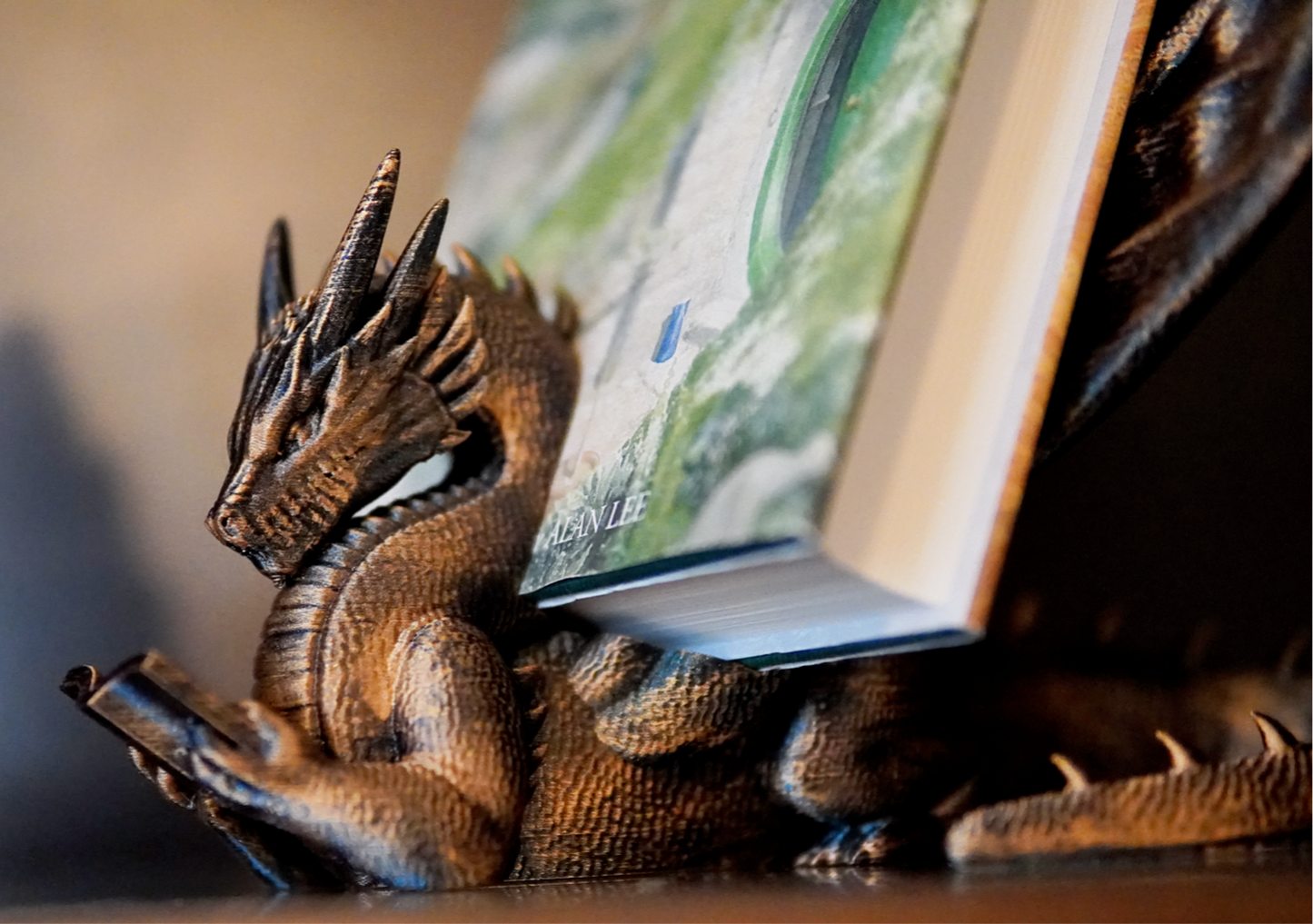 BOOK WYRM DISPLAY (BOOK & TABLET VERSIONS available)